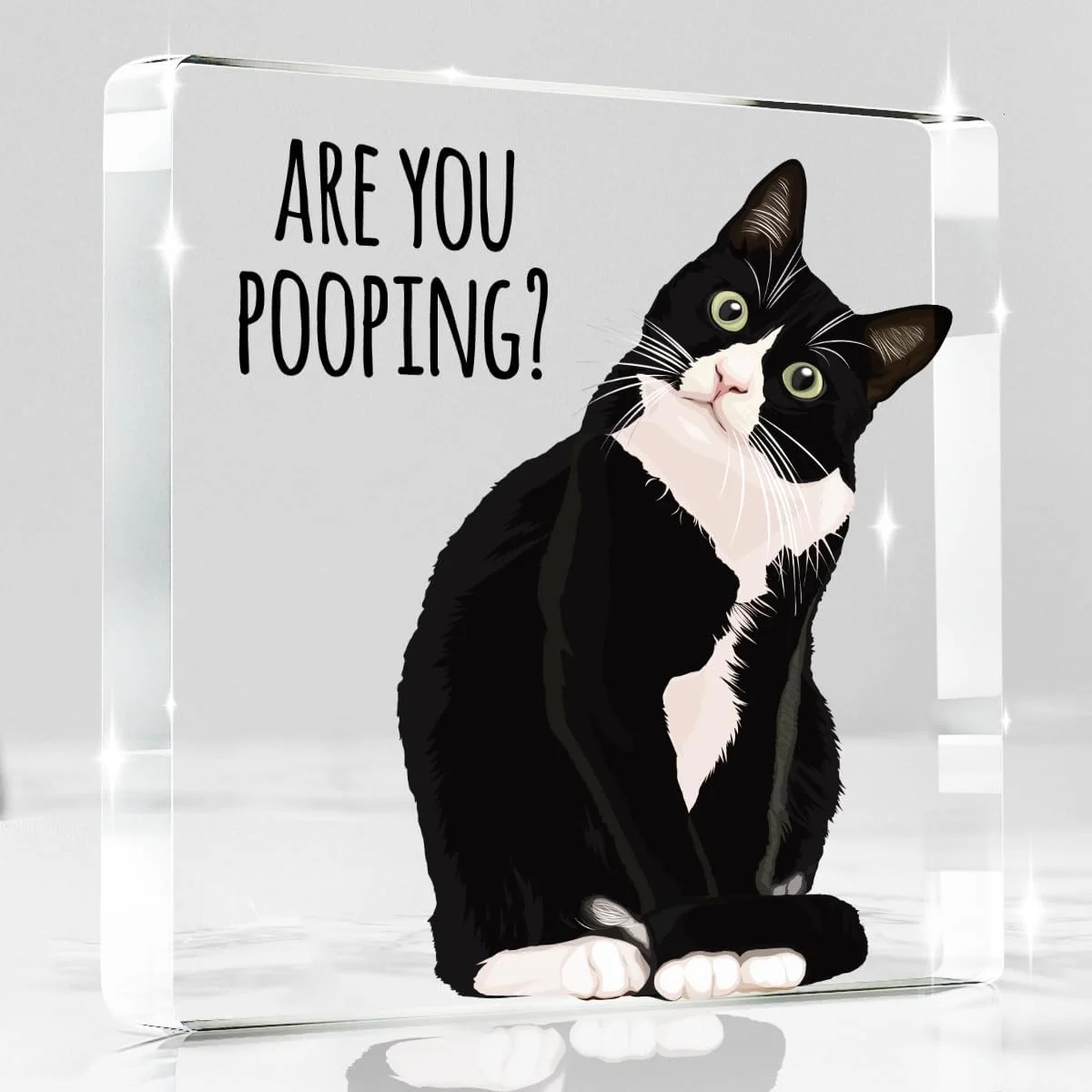 Black cat bathroom acrylic sign asking 'Are You Pooping?'